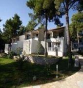 Matilde Vodice
